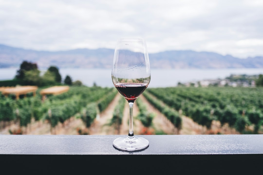 Glass of white wine poured at a tasting table
