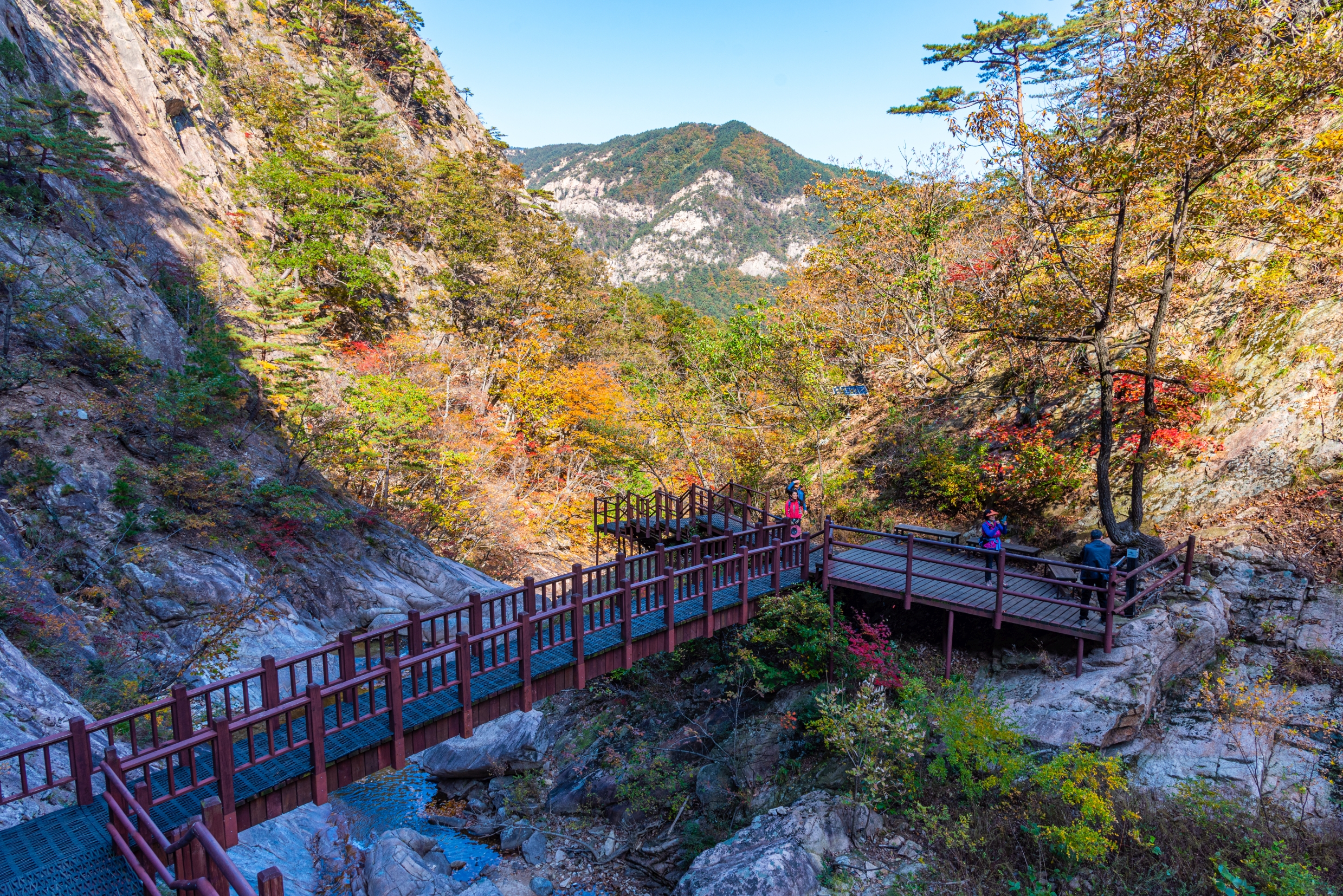 Ulsanbawi Rock’s imposing cliffs soaring above pine forests in Seoraksan.